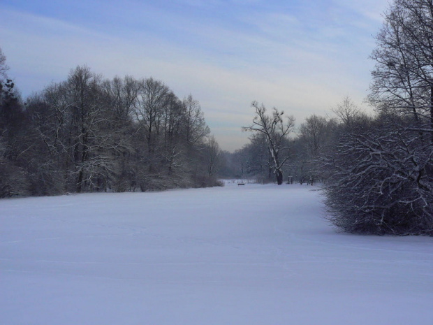 Rudy,zima,park #Rudy #zima #park