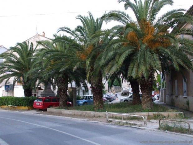 trogir