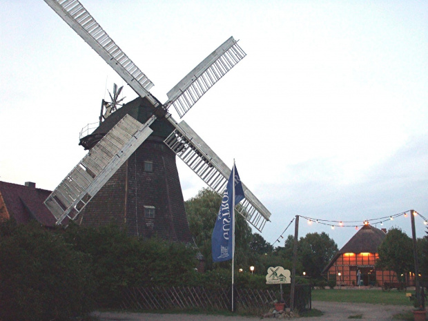 VIII.2008 Wittenberg Deutschland