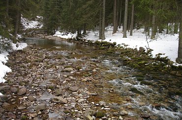 ;) #ferie #zakopane #warszawa #harenda #sheesha #narty #stok #góry #DolinaKościeliska