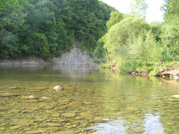 Wisłoka okolice Myscowej