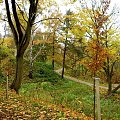 Wspominkowo, kolorowa jesień! (i ani slowa o przypalankach czy innych skazach, wiem sama wszystko ) #jesień #Gdańsk #FortyNapoleońskie