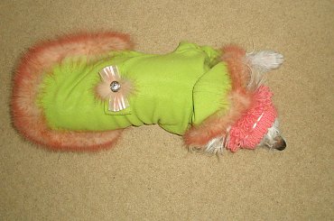 #rękodzieło #zrób to sam #robótki ręczne # ubrania# pies