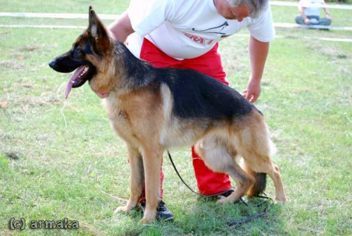 Wystawa Międzynarodowa Sopot 2008