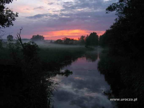 Rzeka Ełk i rzeka Biebrza oraz Kanał Augustowski na odcinu rzeki Netta #biebrza #KanałAugustowski #ełk #BagnaBiebrzańskie #netta