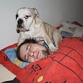 o co chodzi?