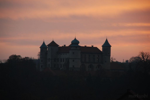 Zamek w Nowym Wiśniczu raniutko #miasta #zamki #kościoły