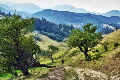 zielony szlak Czarnohory.....wzięło mnie na malowanie #góry #przyroda