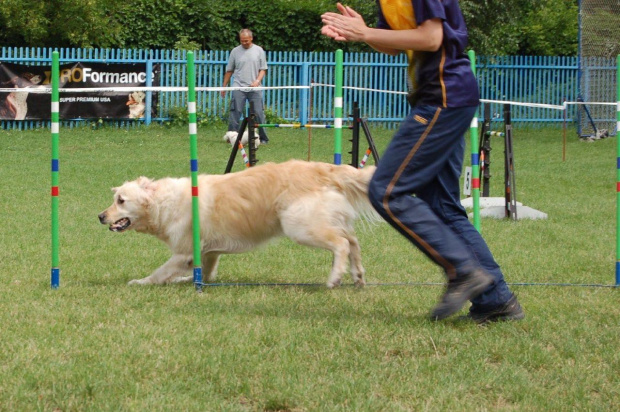 PP Agility Białystok 22.07.2007