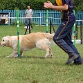 PP Agility Białystok 22.07.2007