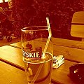 przygoda w pubie... #piwo #Tyskie #spacer #paw #pub #FotkaZKomórki