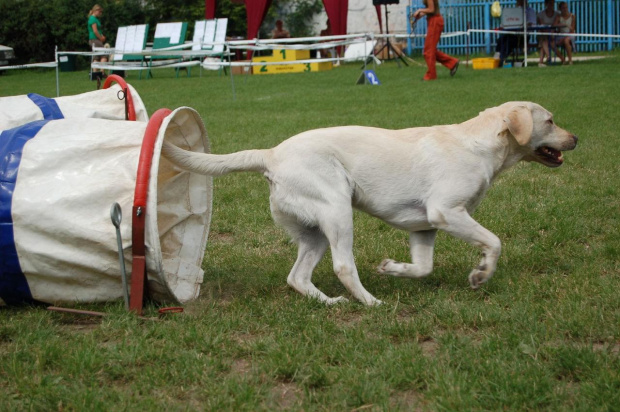 PP Agility Białystok 22.07.2007