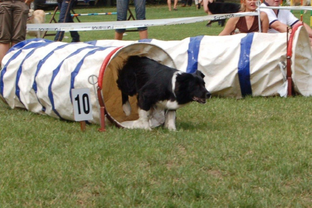 PP Agility Białystok 22.07.2007