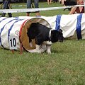 PP Agility Białystok 22.07.2007