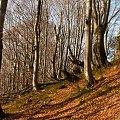 Ach te Bieszczady #Bieszczady #manek #wycieczka #wakacje #góry