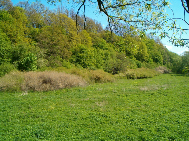 Za rzeczką, opodal krzaczka ^^