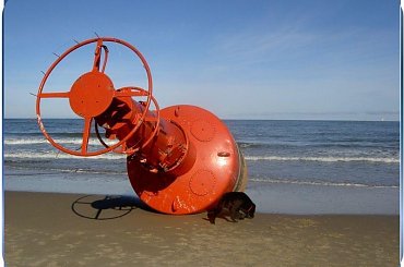 Po sztormie...morze wylało powyżej wydm a sila sztormu wywalila na brzeg nie tylko smieci ale kilku tonowe boje! #NadMorzem #PoSztormie #widok #boja