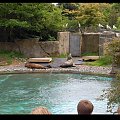 Belfast Zoo - 07/06/2008