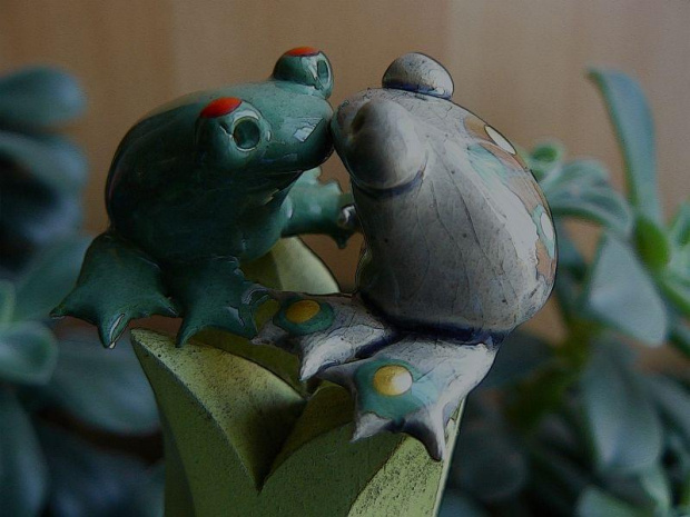 nowe żabki do mojej kolekcji #żaby #kolekcja #hobby #zbieranie