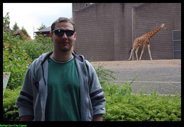 Belfast Zoo - 07/06/2008