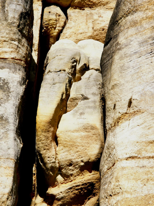 Słoń i sowa skały w Teplicach n. Metują #SkalneMiasto #skały #krajobraz #słoń #natura #Czechy
