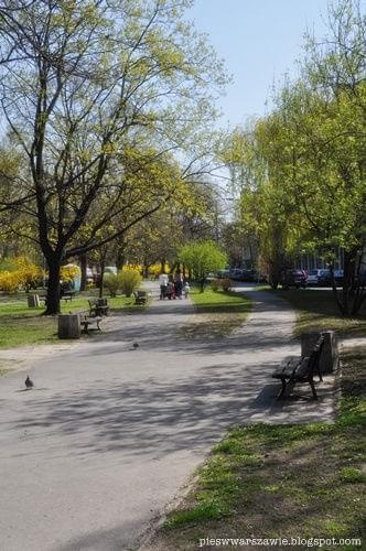 pieswwarszawie.blogspot.com #park #pies #warszawa