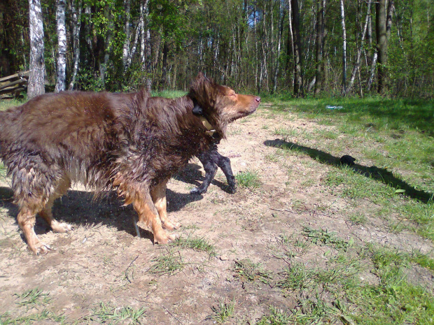 maj 2011 Stefan i labek córki Wioli