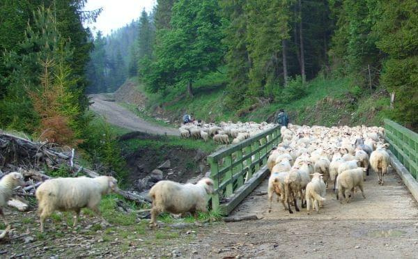 Beskid Sadecki