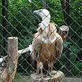 Nasze wszystkie dzieci i wnuki w łódzkim zoo