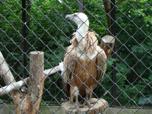 Nasze wszystkie dzieci i wnuki w łódzkim zoo