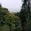 widok z Łysicy