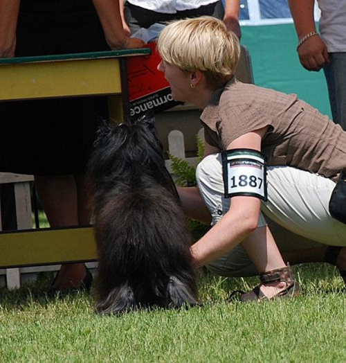 CACIB Leszno 2011