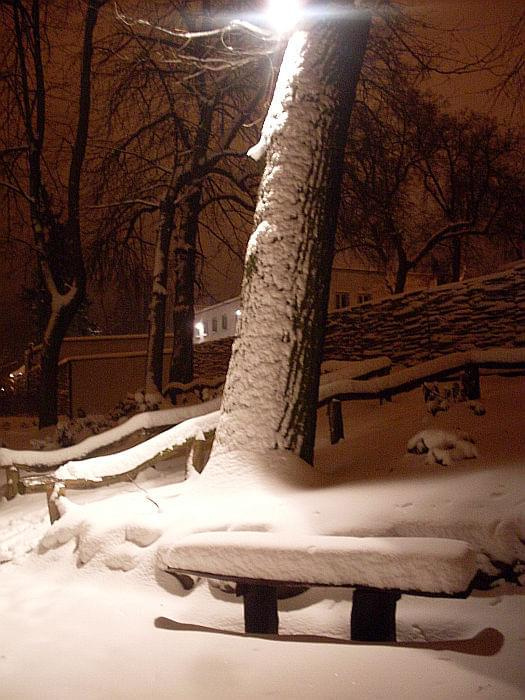 Ławeczka w Parku Tietza w Międzychodzie w śniegu :) aż ma się chęć usiąść ;) #śnieg #ławka #park