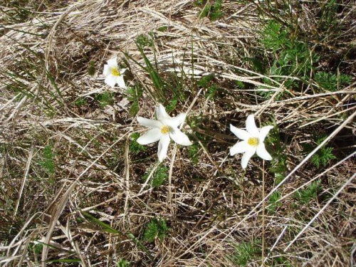 Zakopane 26-29.05.2011