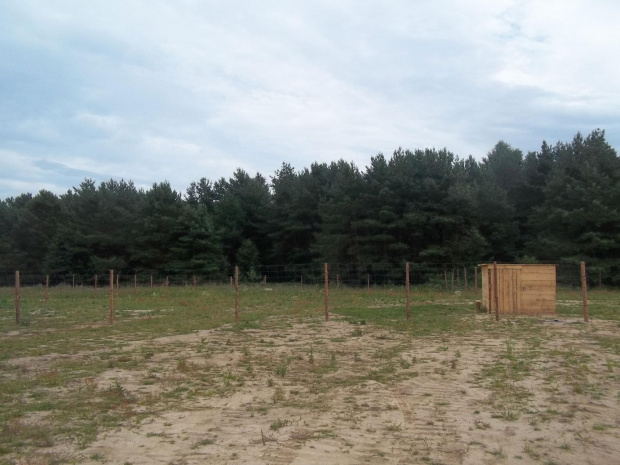 daiałka z ogrodzeniem i szopką