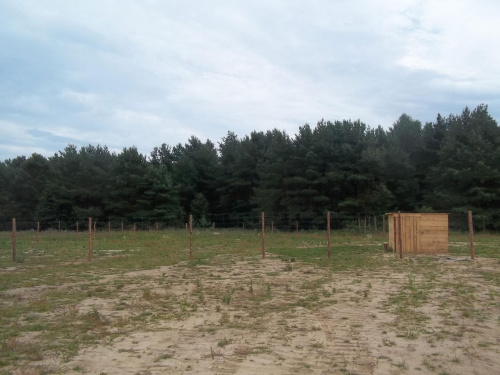 daiałka z ogrodzeniem i szopką